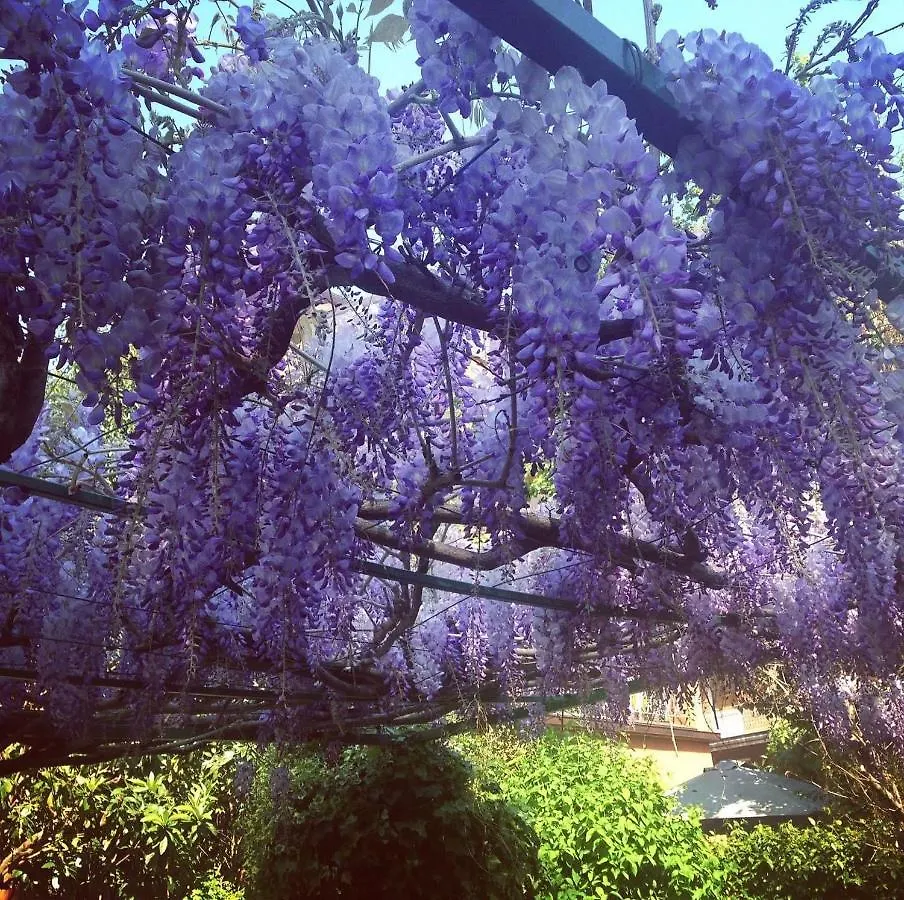 Il Giardino Nel Parco R&B Hotel Bologna Italy